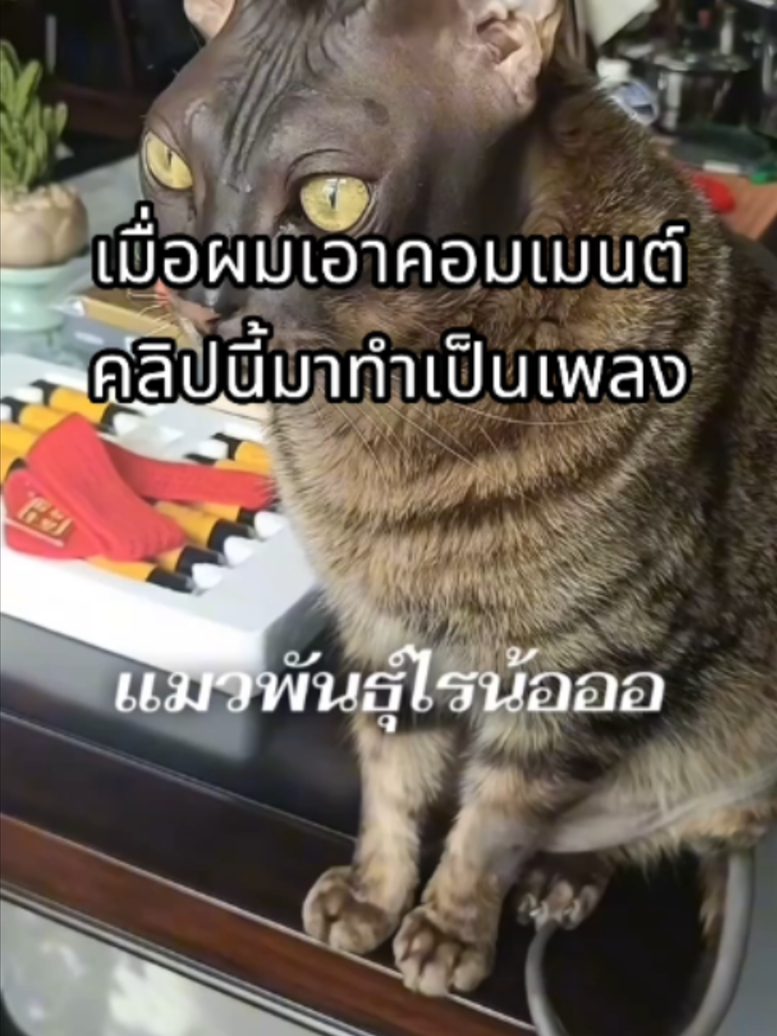 @ผักกาดดด