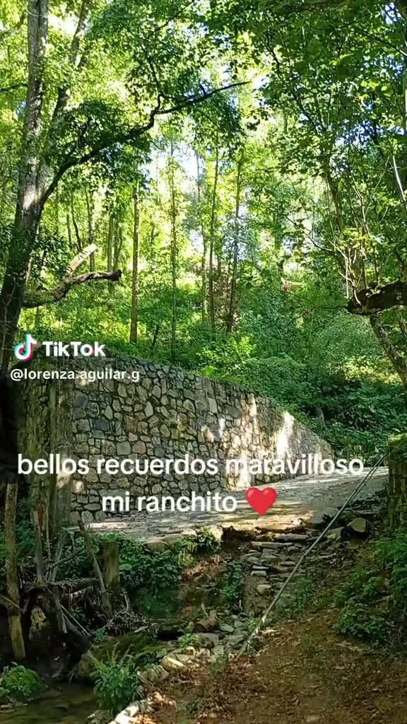 @Guadalupe Estevez