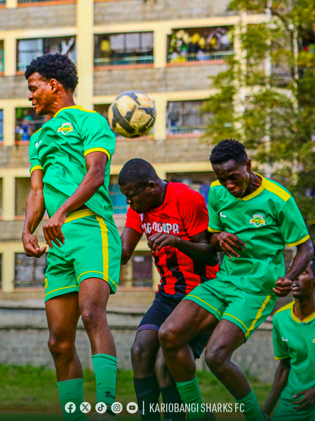 @Kariobangi Sharks FC