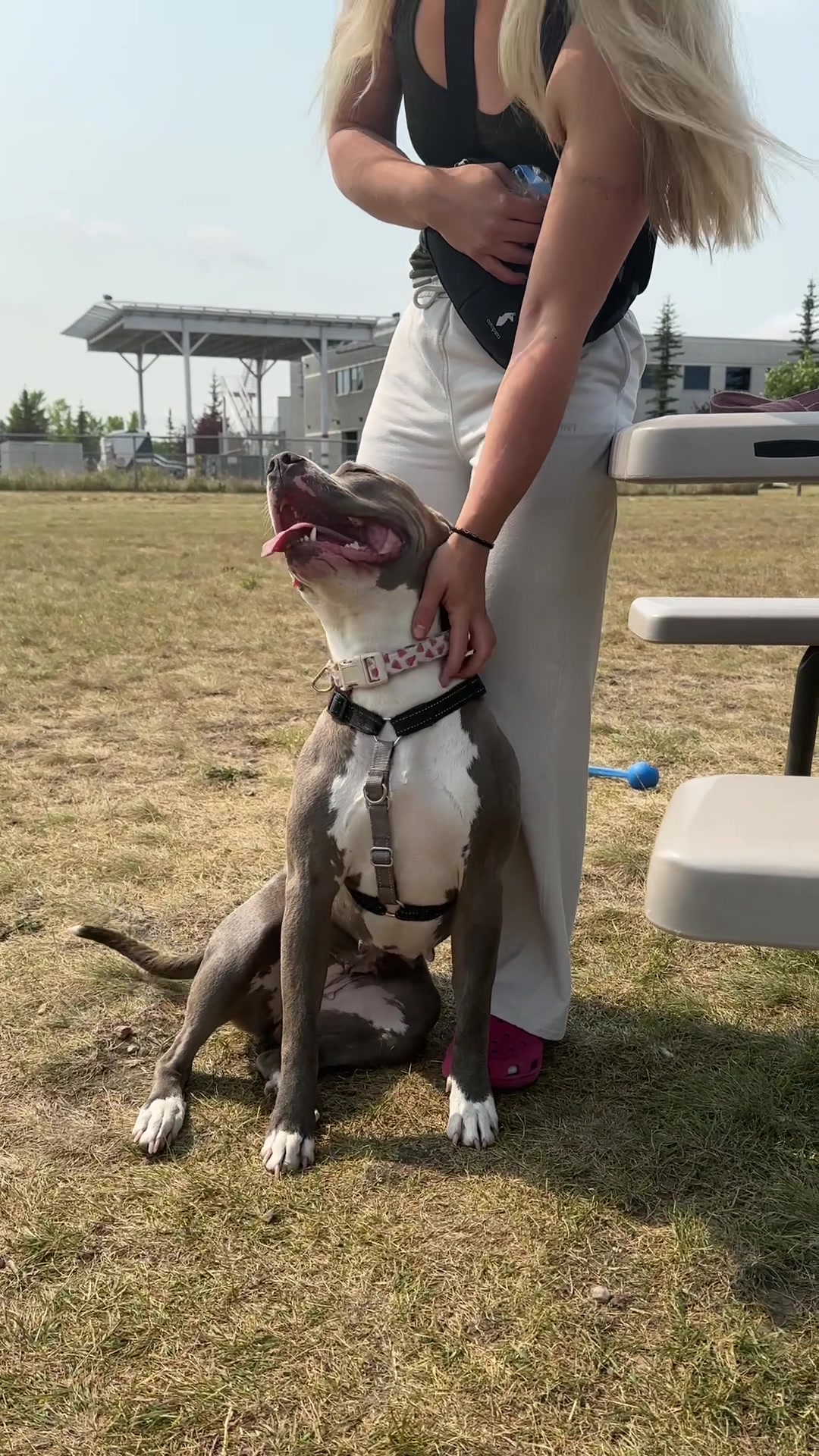 @Calgary Humane Society