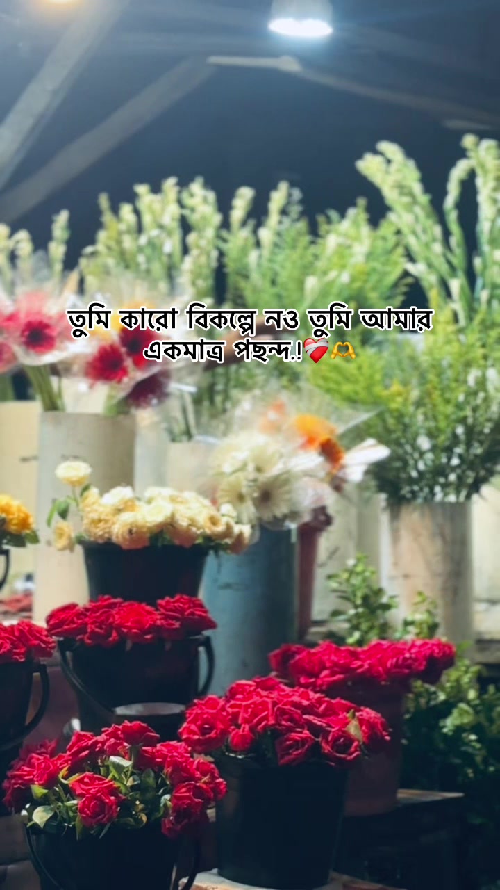 @সা জু 📜