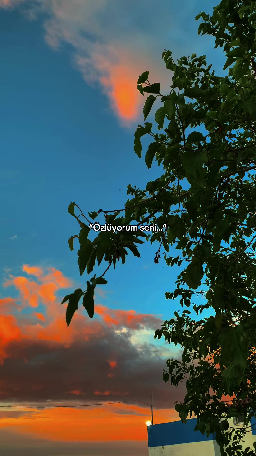 @𝑩ü𝒏𝒚𝒂𝒎𝒊𝒏⚡️