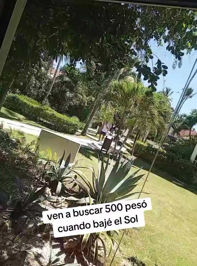 @dj deivi