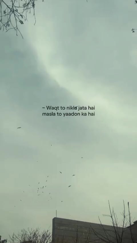 @shamzakhurram20