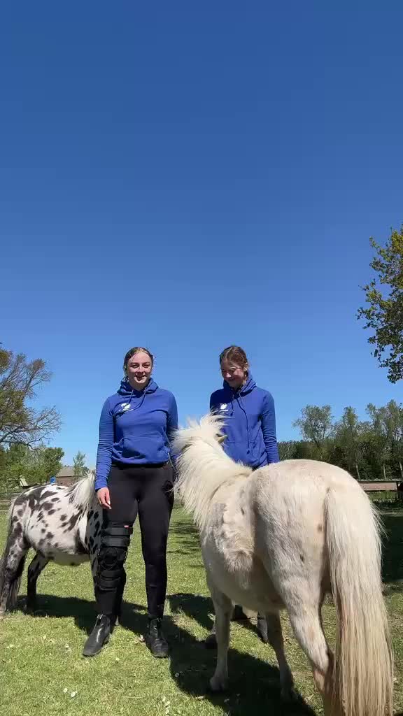 @manegeprinsenbankhoeve