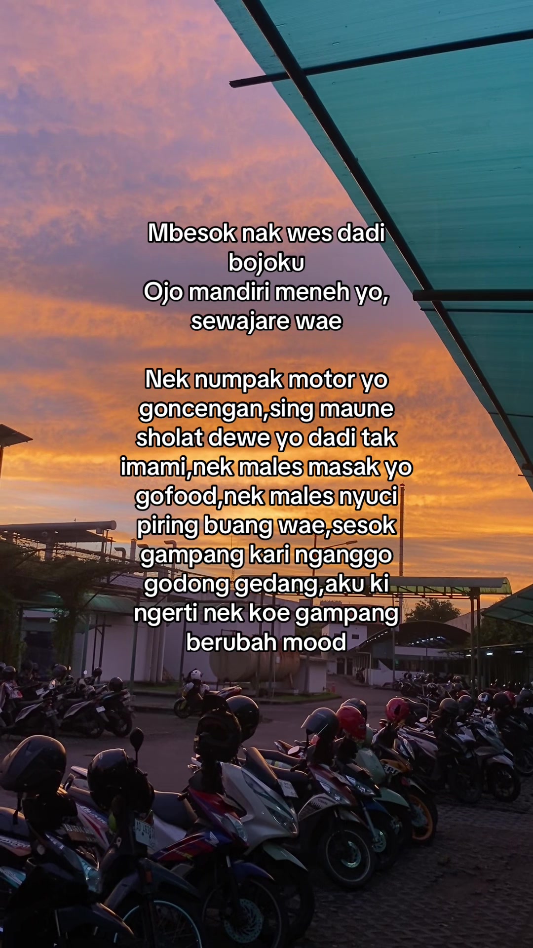 @ArifDwiyanto| IG:aref_dwiyanto