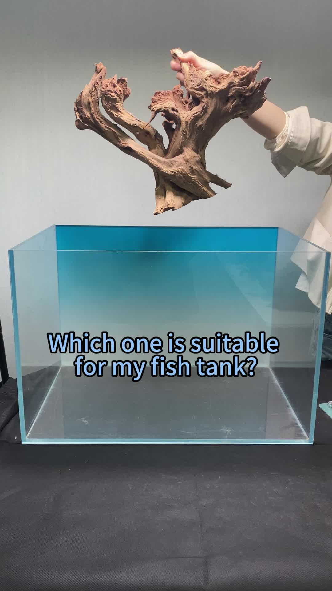 @AquaBunny