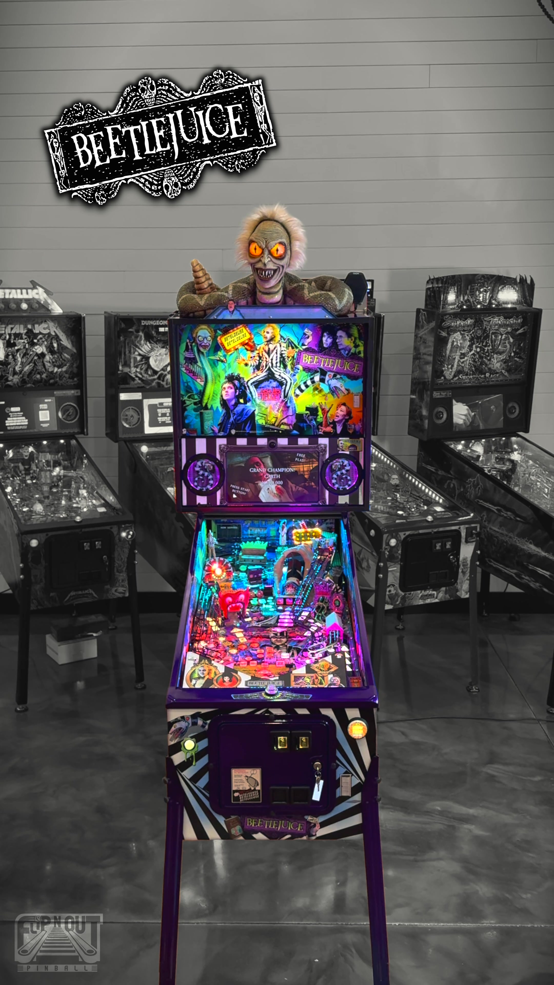 @Flip N Out Pinball