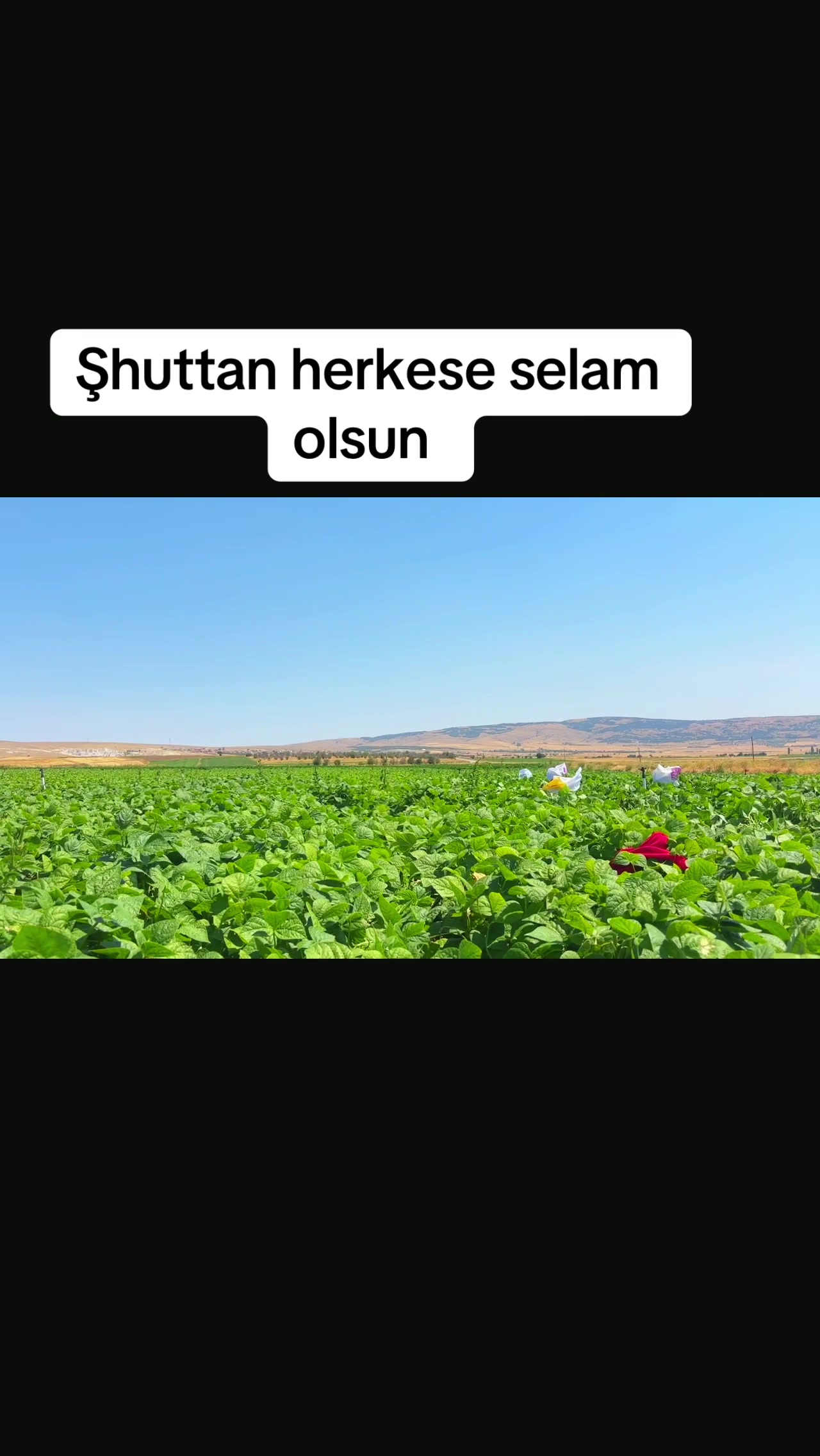 @༺🕊️𝙑𝙖𝙩𝙖𝙣 𝙎𝙚𝙫𝙙𝙖𝙨ı