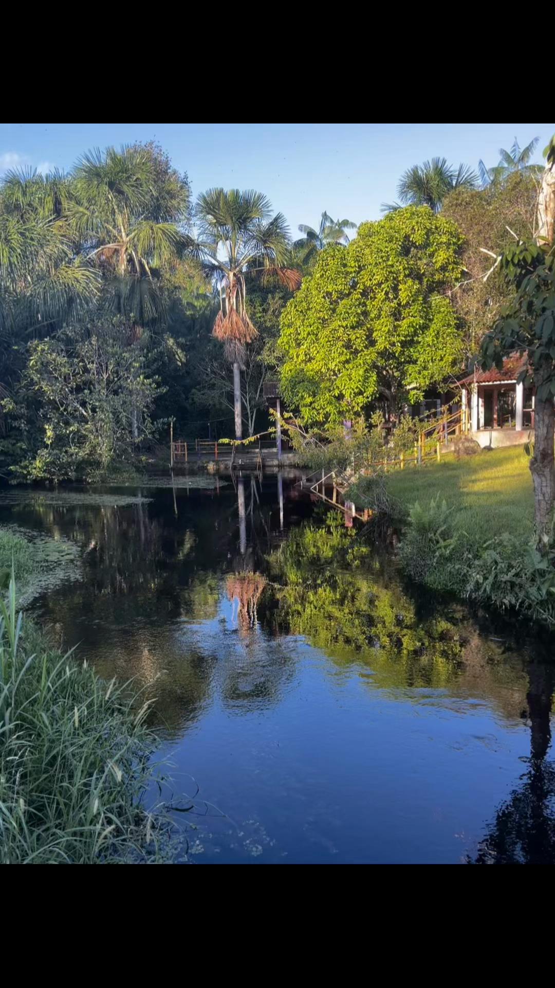 @Amazonas_Historia