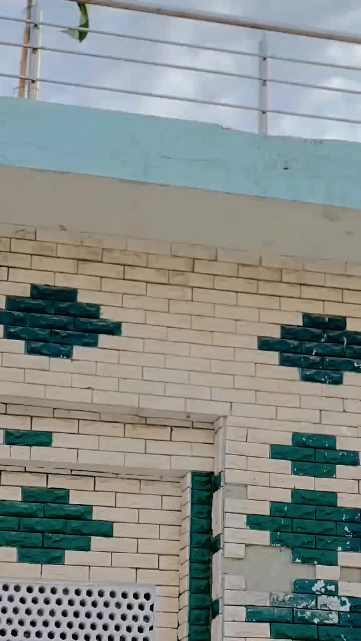 @mk~khokhar🦁