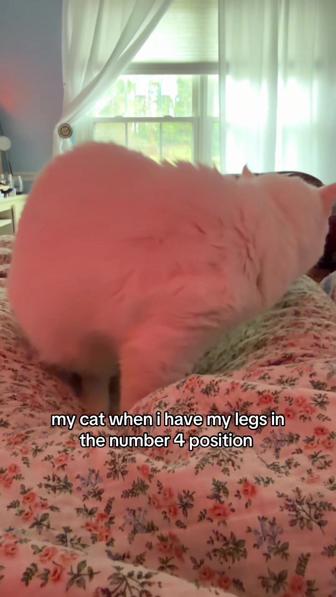 @kam
