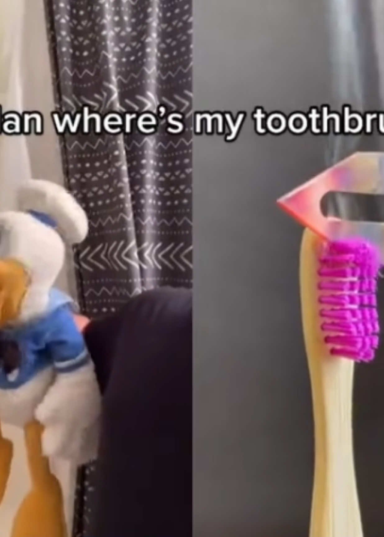 @donaldducc