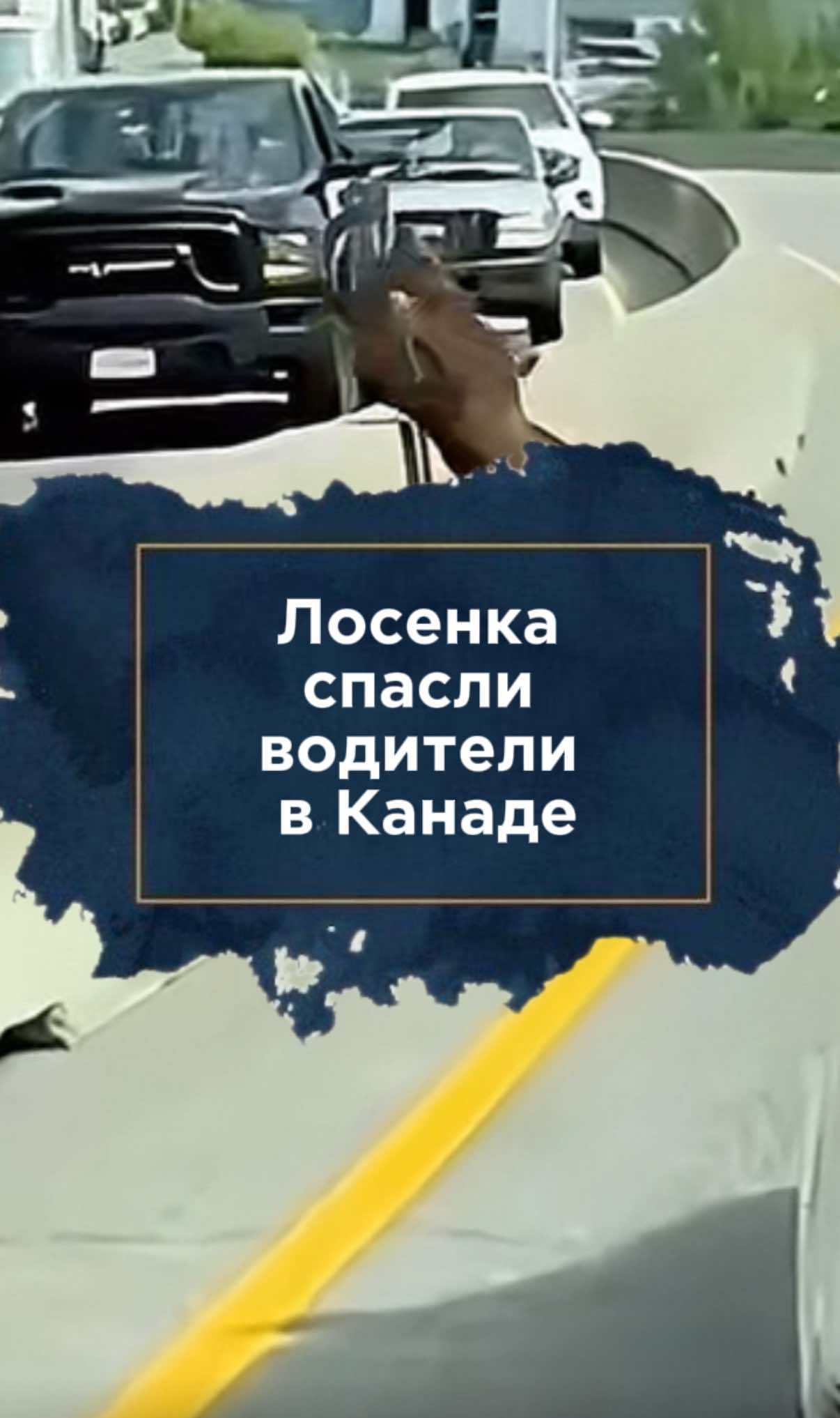 @zakon.kz ➡️ Новости Казахстана