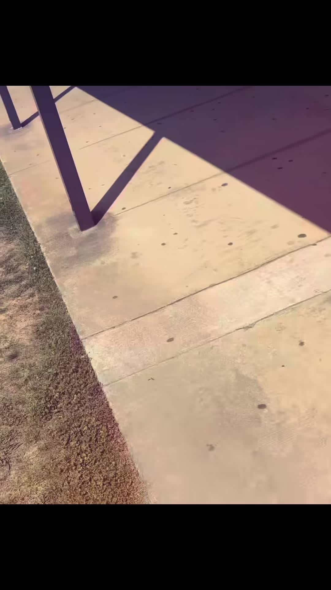 @🐦&zwj;🔥