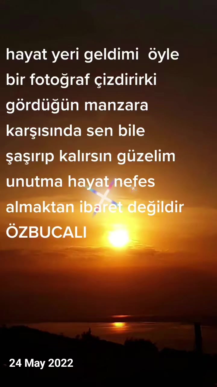 @&ouml;z bucalı (murat)