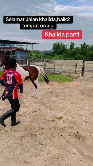 @Subdepo Arabian Park