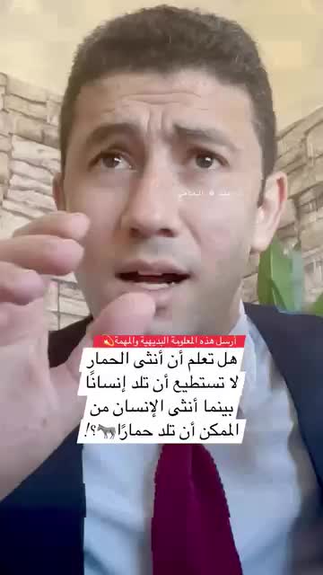 @Suleiman Naber Сулейман