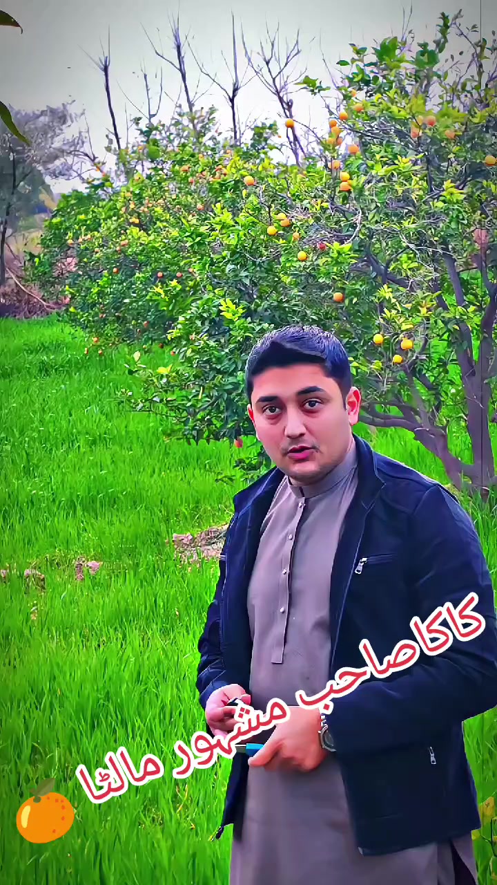 @Mian Ayub Shah kaka Khel