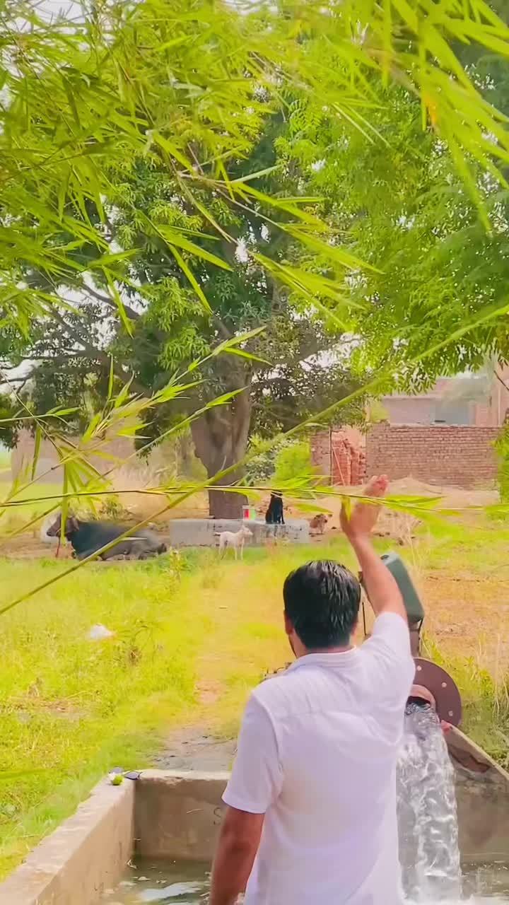 @Mr Talha_Dhillon 786🦅
