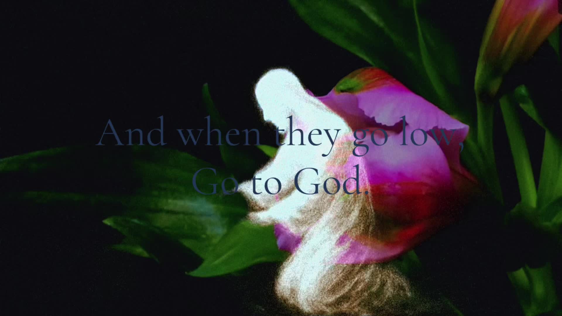 @Christ is King
