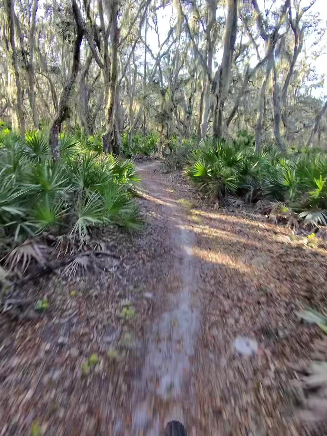 @Flow_MTB