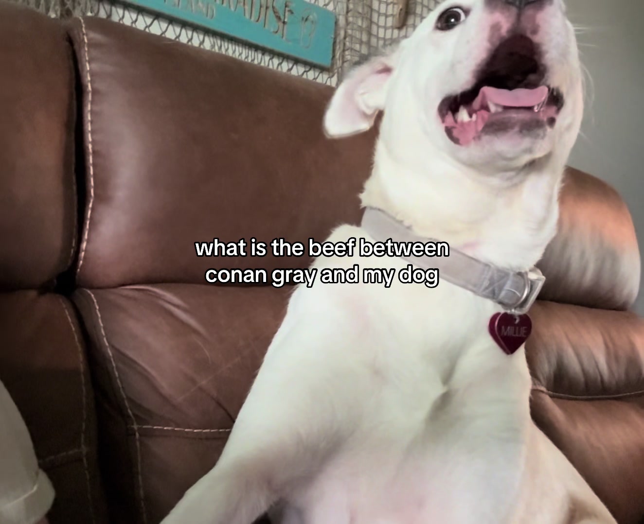 @bee