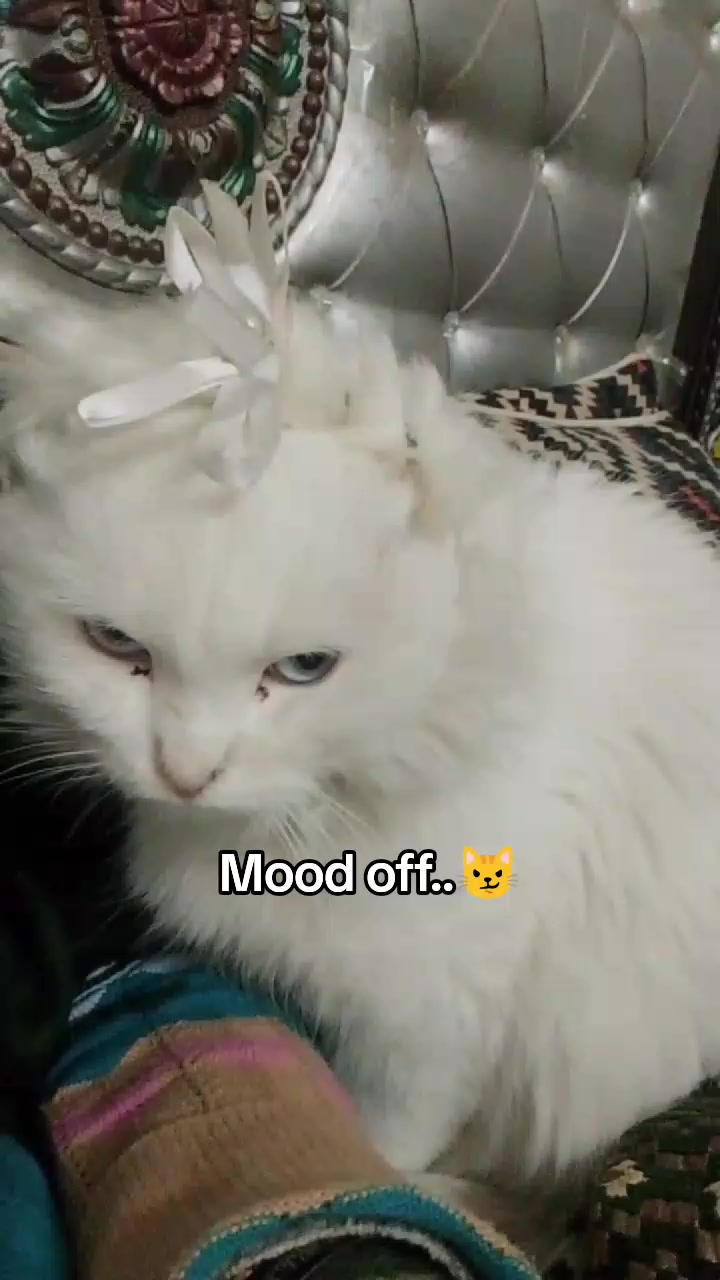@𝓜𝔂𝓼𝓽𝓮𝓻𝓲𝓸𝓾𝓼 𝓰𝓲𝓻𝓵,
