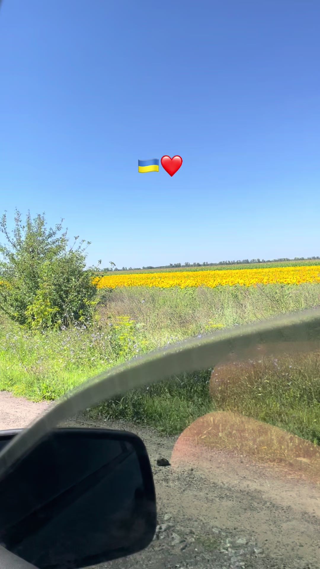 @17_alona