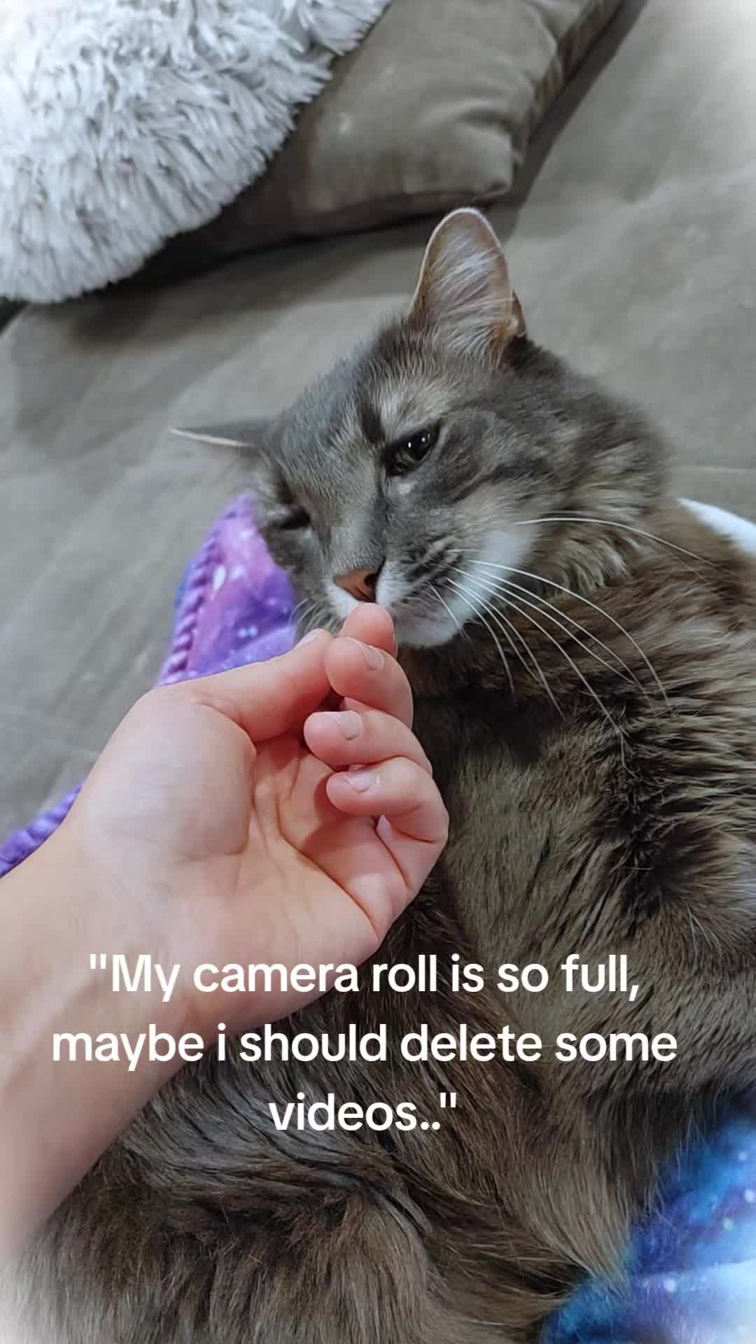 @SnekDice