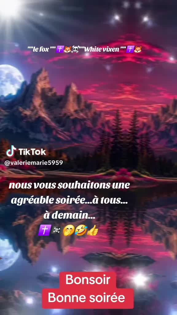 @🇫🇷Le fox✝️🦊☠️white vixen✝️