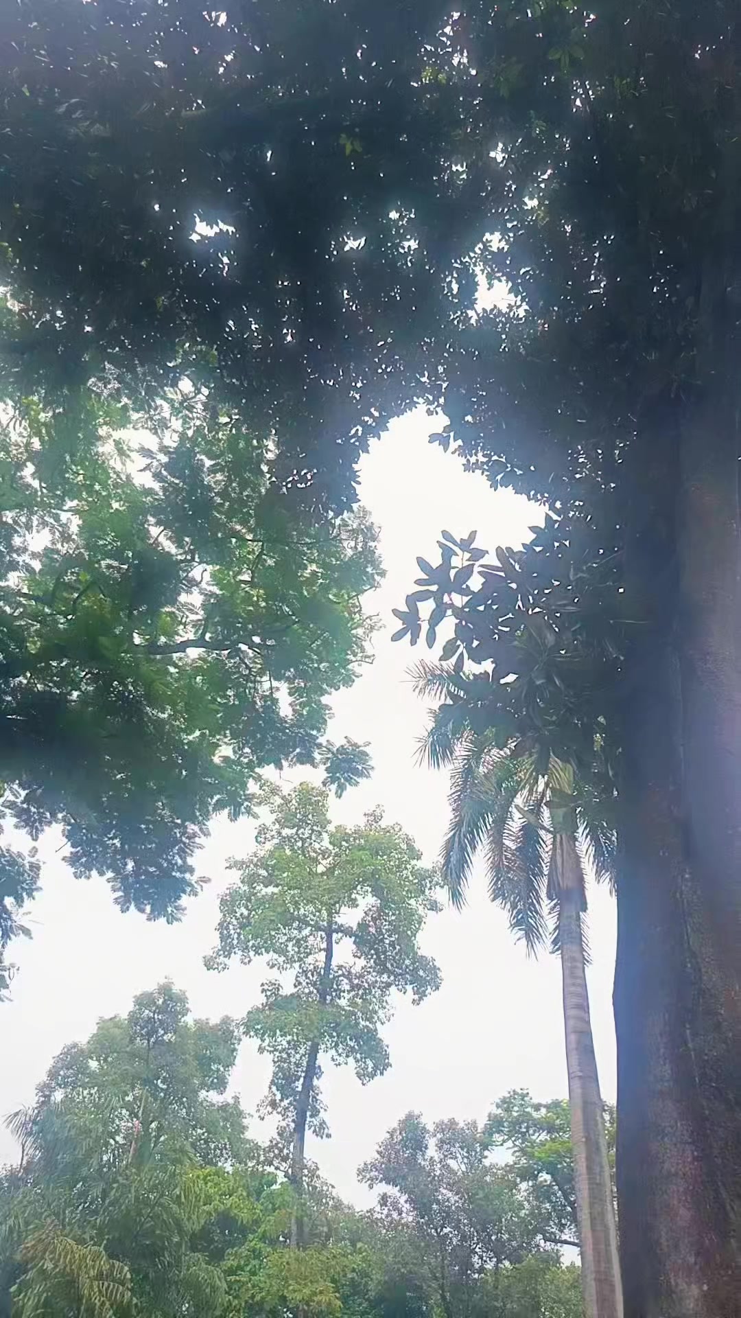 @KåiLãsh❣️