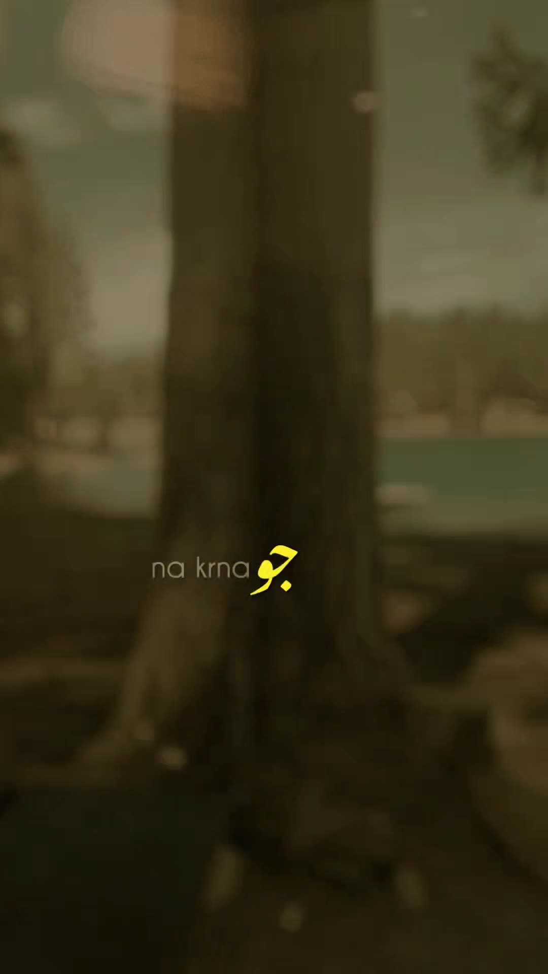 @R3d r0se