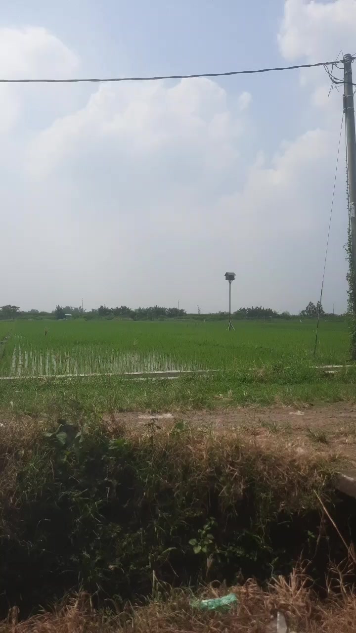 @Karji ganden