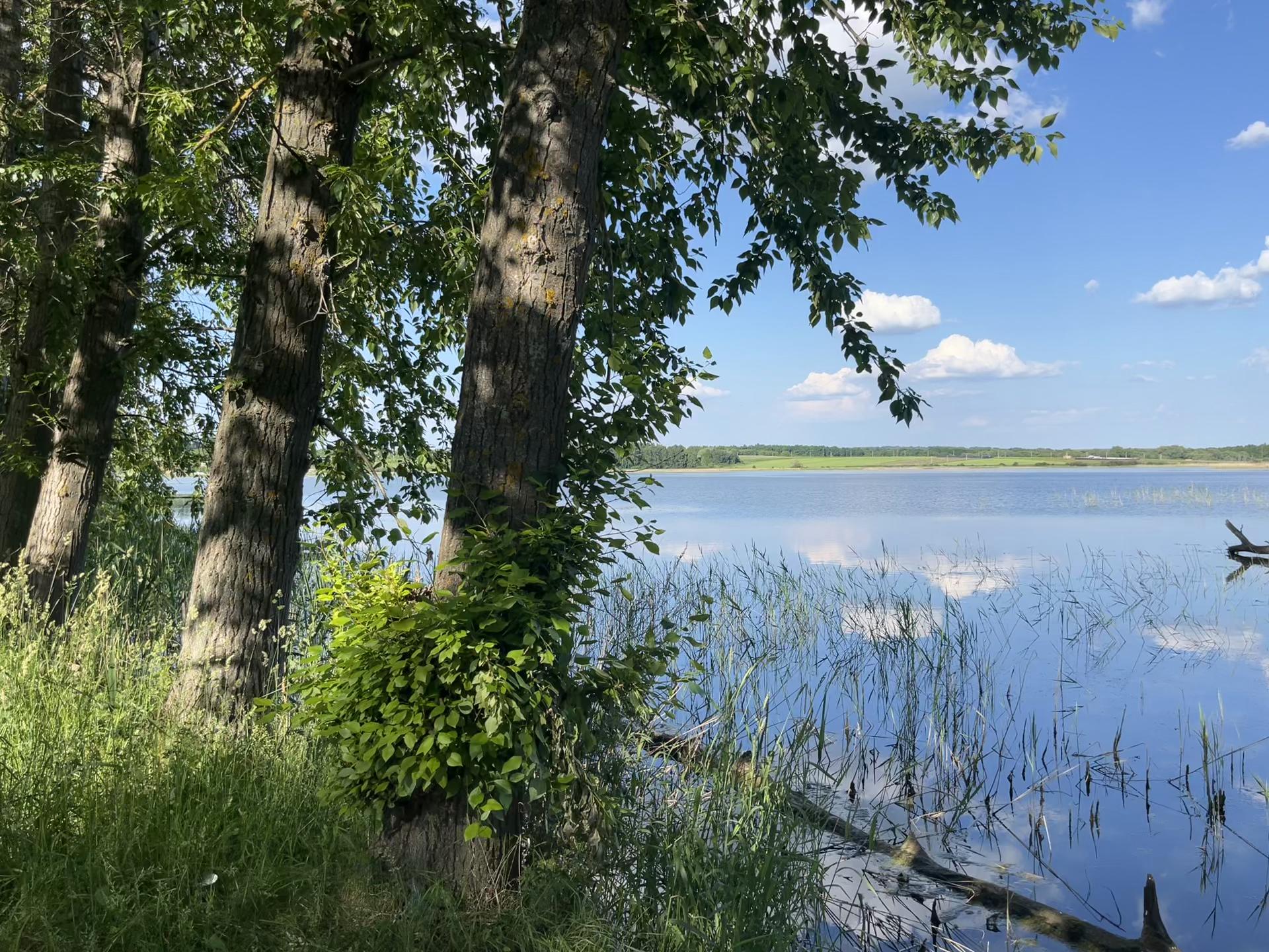 @влюбленные в природу