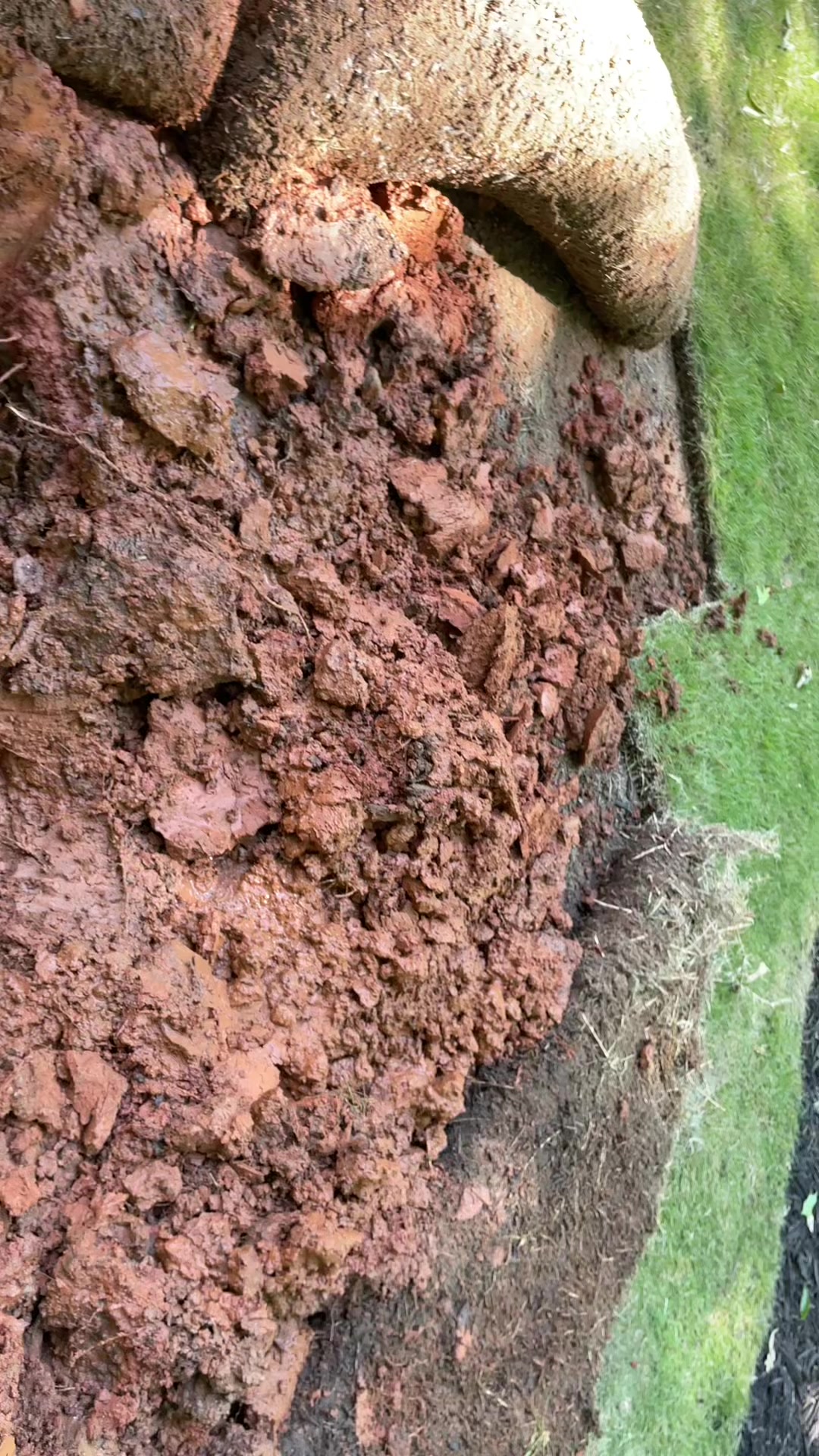 @🪙El_R}&reg;️⚜️