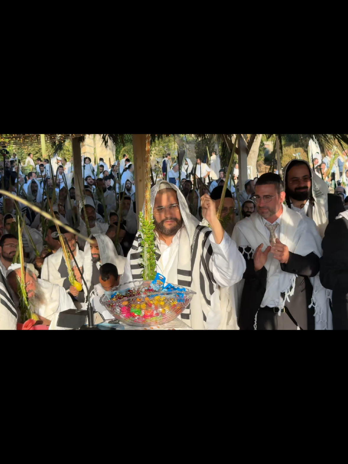 @הינוקא העמוד הרישמי