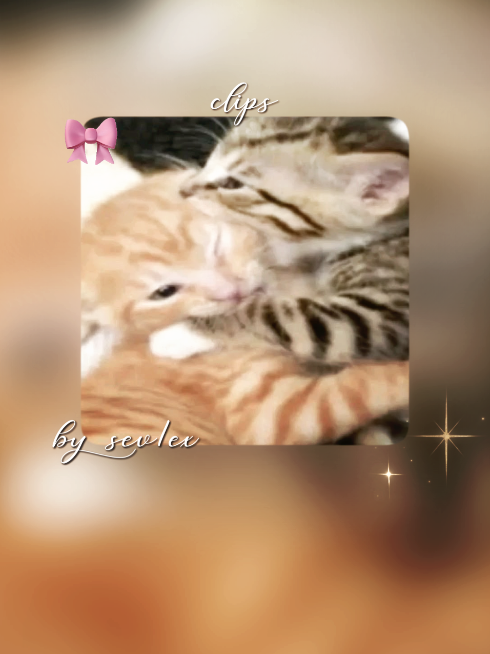 @Lilly <3 J