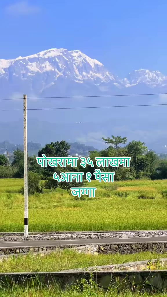 @Lalpurja Pokhara