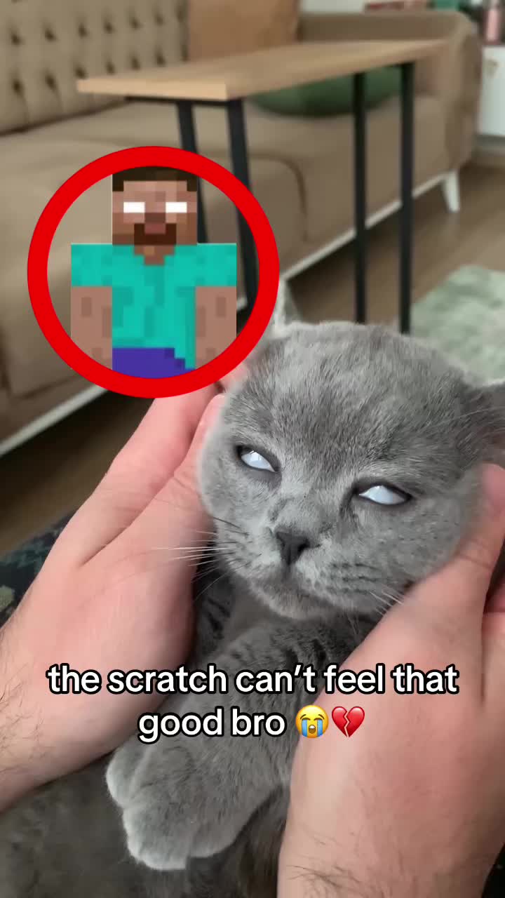 @bababooy1.2