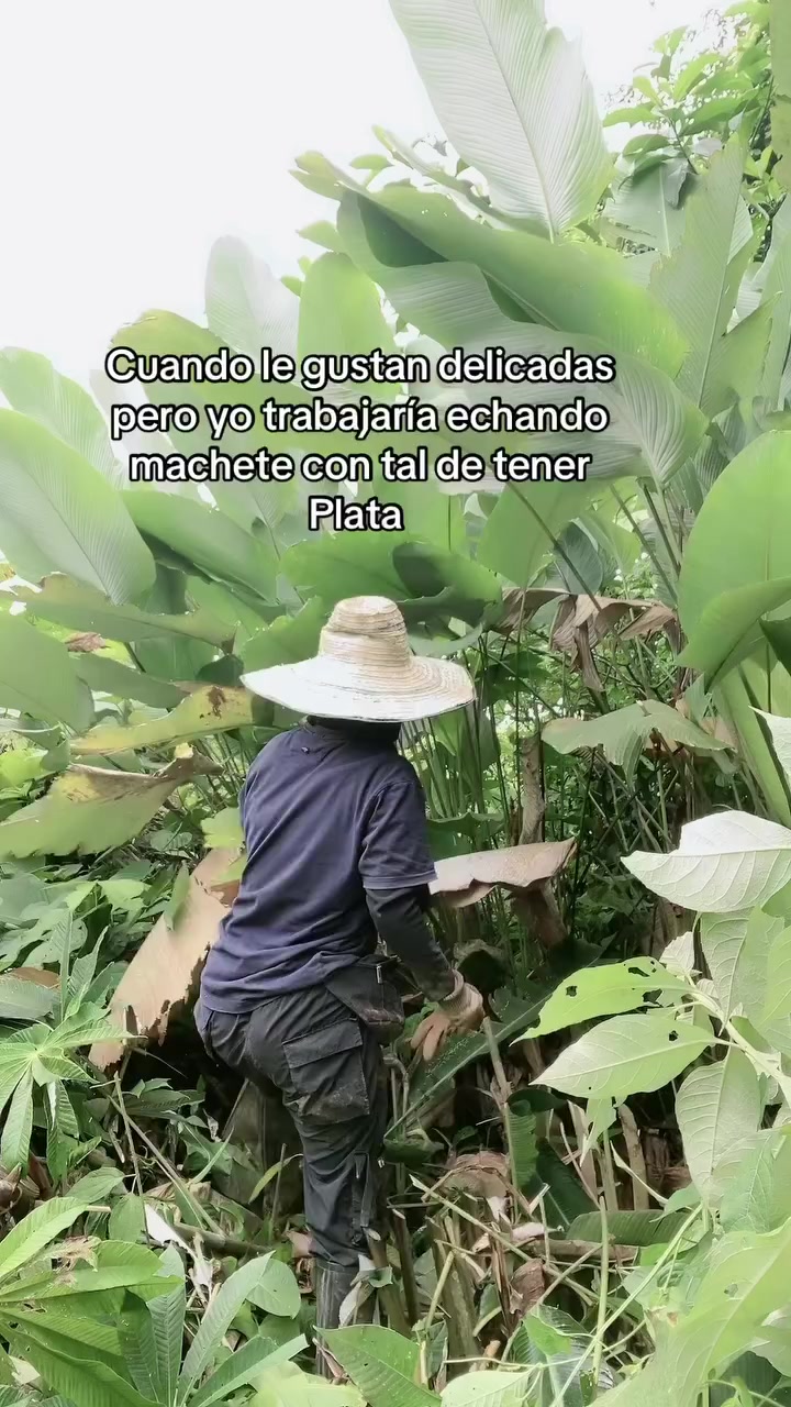 @FERNANDA🍒