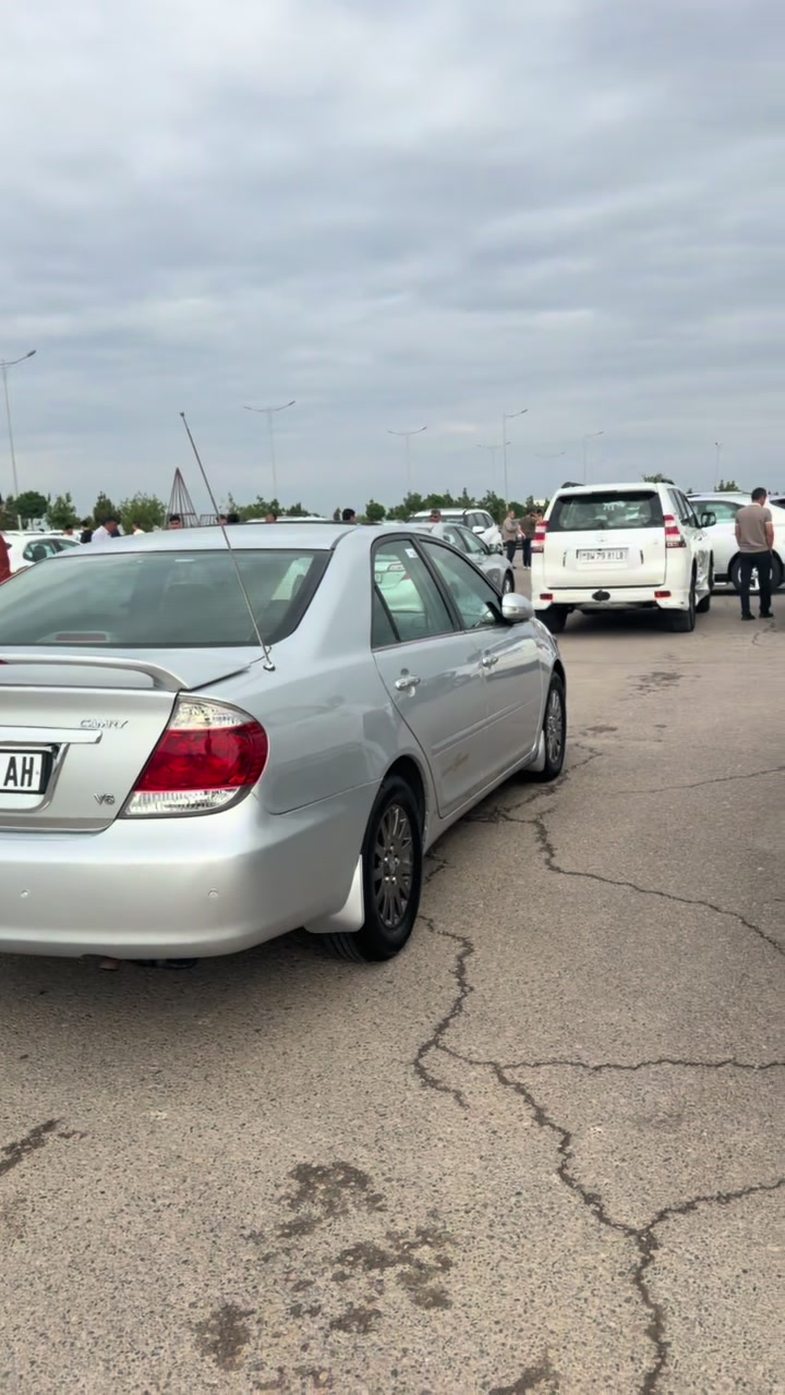 @Auto Cars . TM