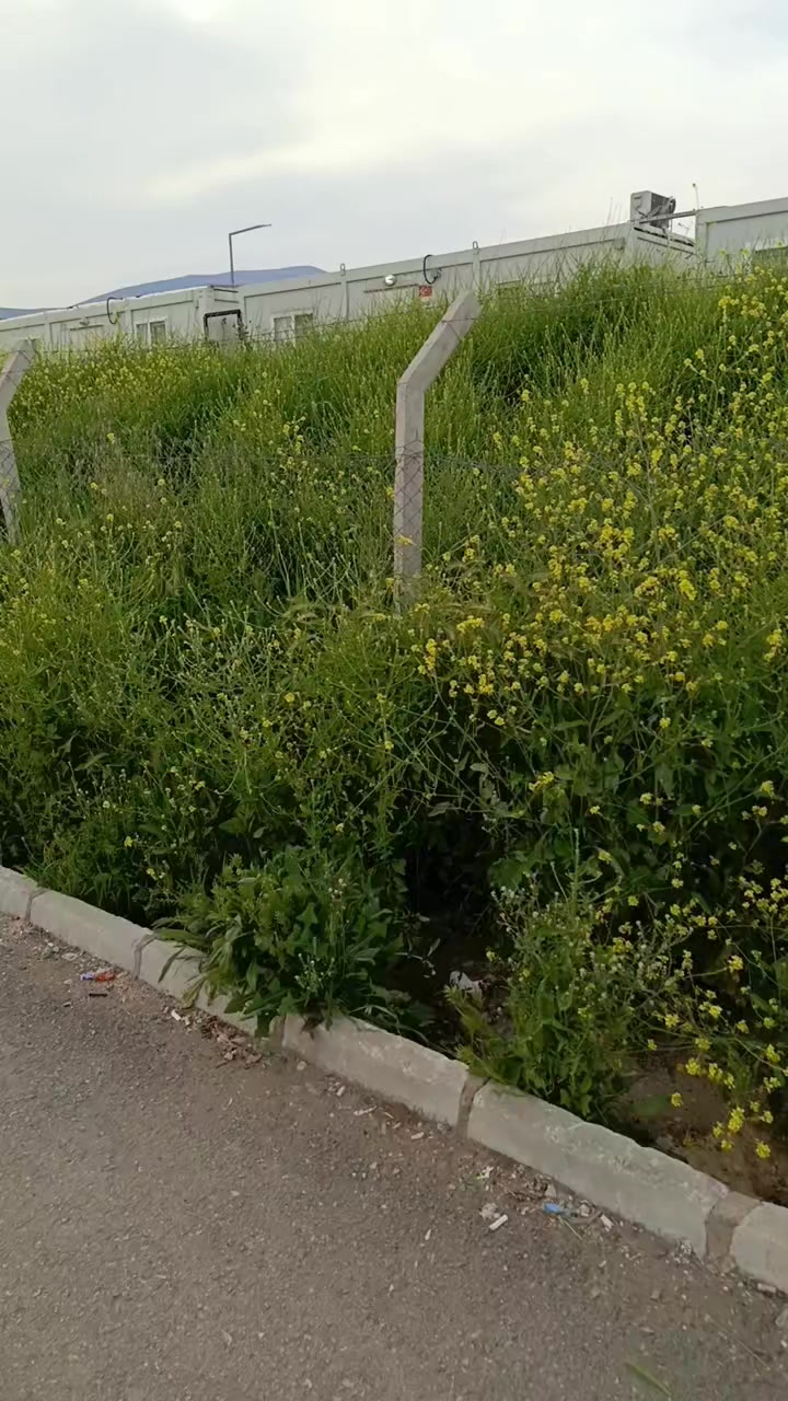 @Fatoş 9191