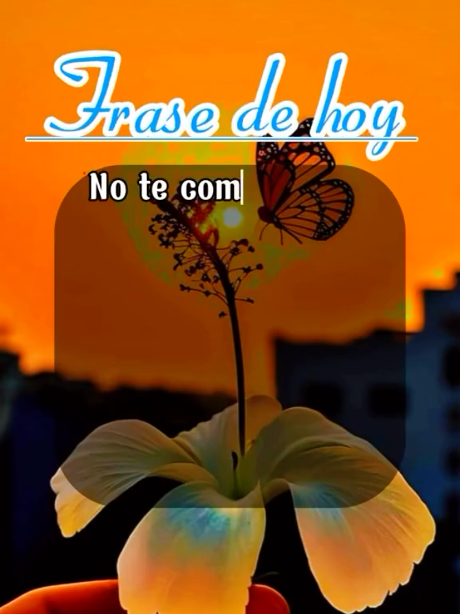 @✨Carlos 👍✨