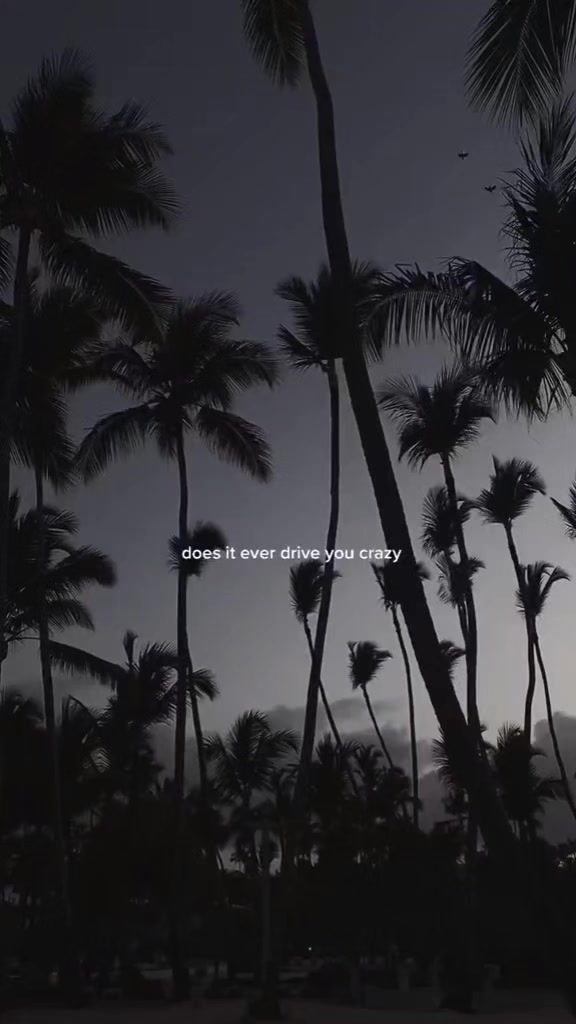 @tiktok.com/@userfsb8bjrlfSoule