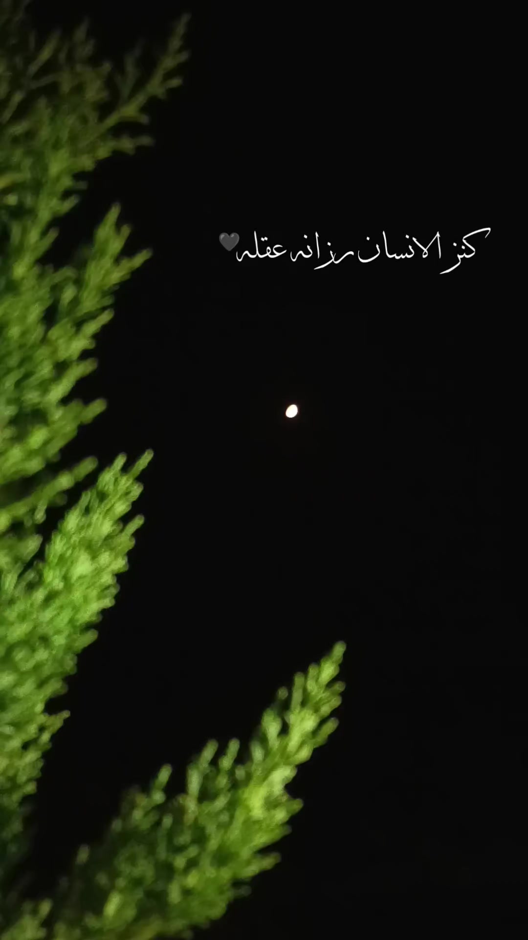 @๐๐๐๐๐๐ธ