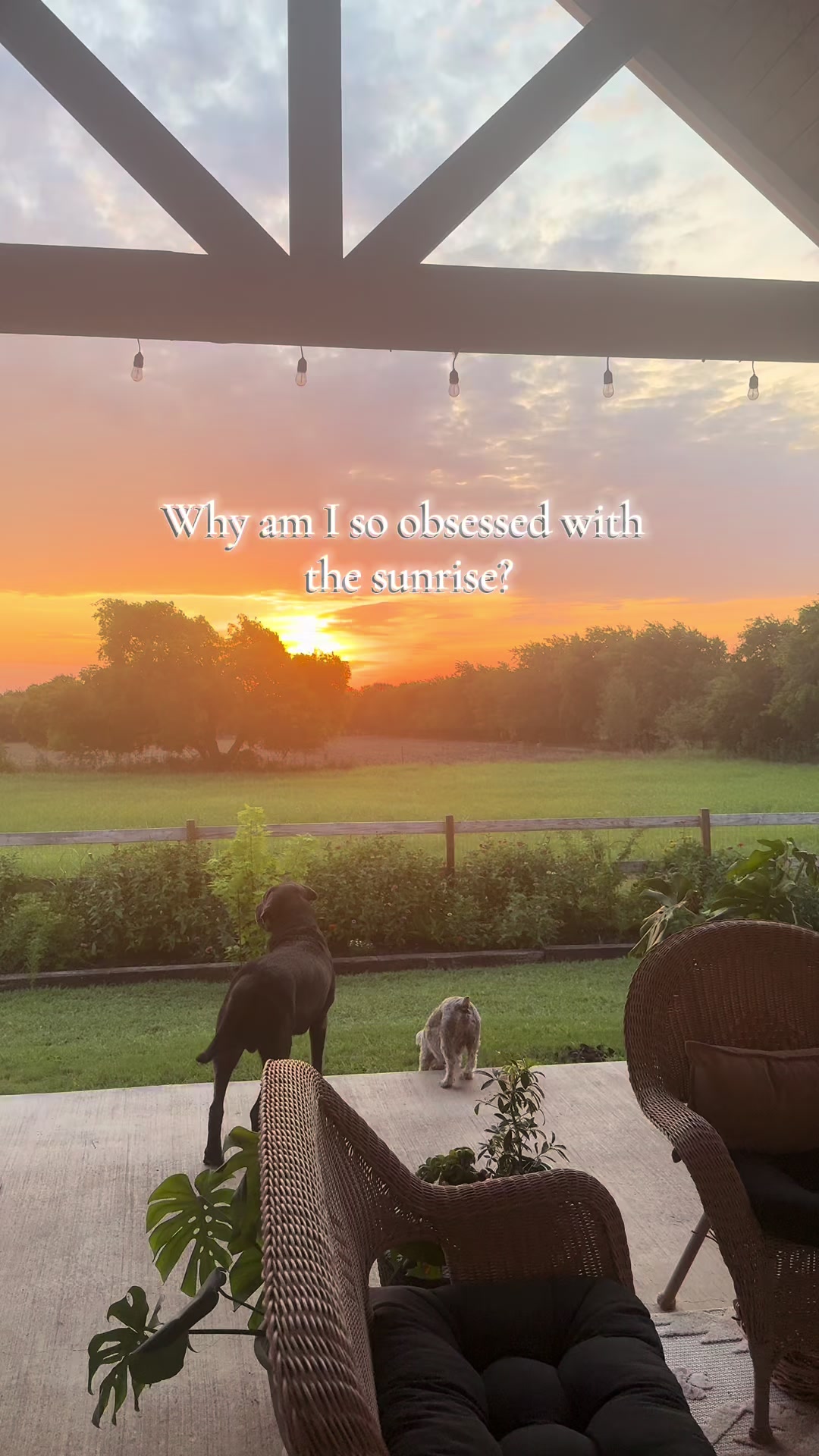 @our_texasfarmhouse