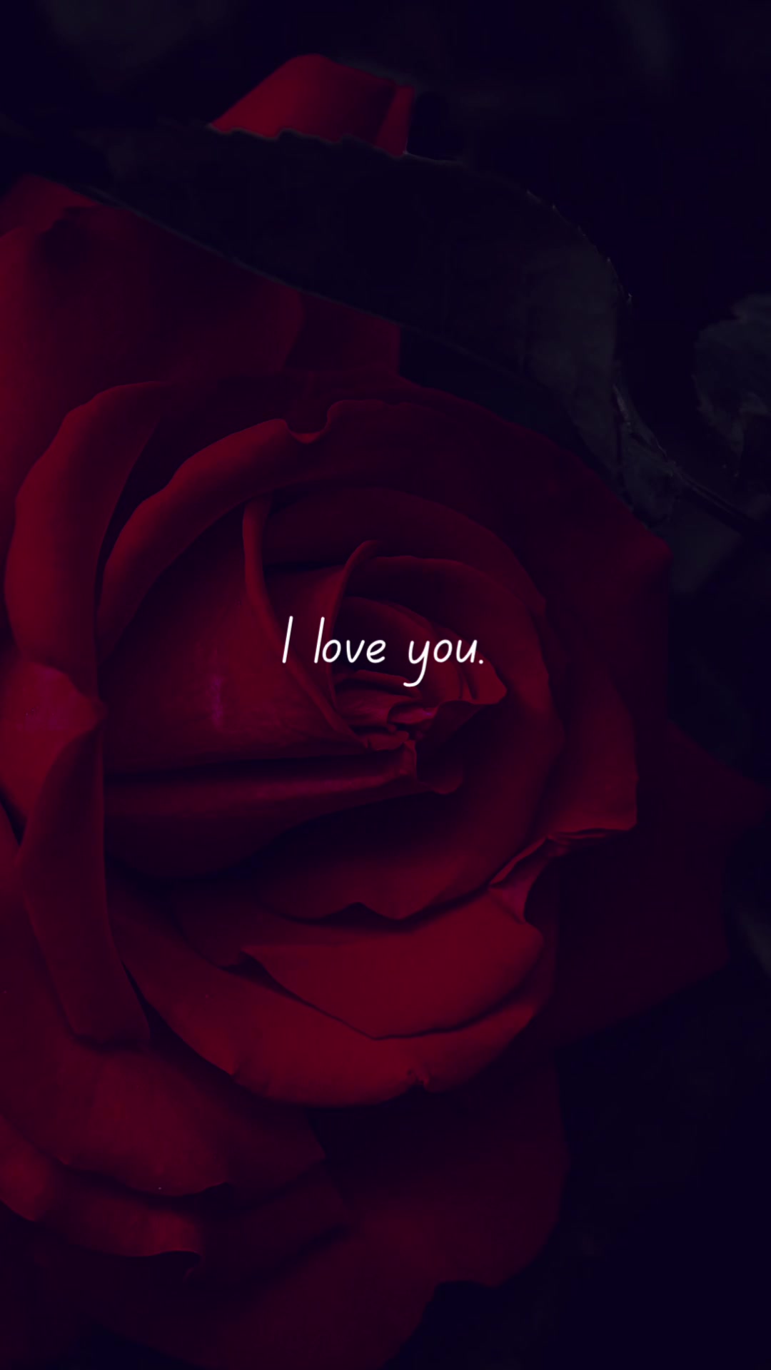 @True Love Quotes