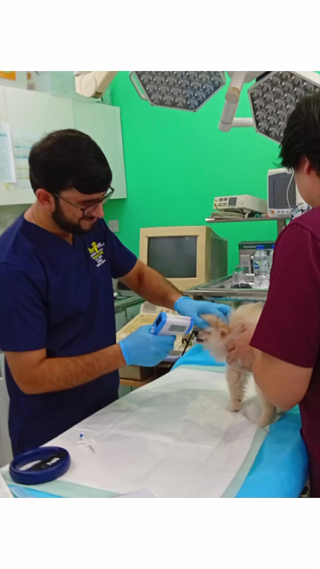 @VillagevVet LLC