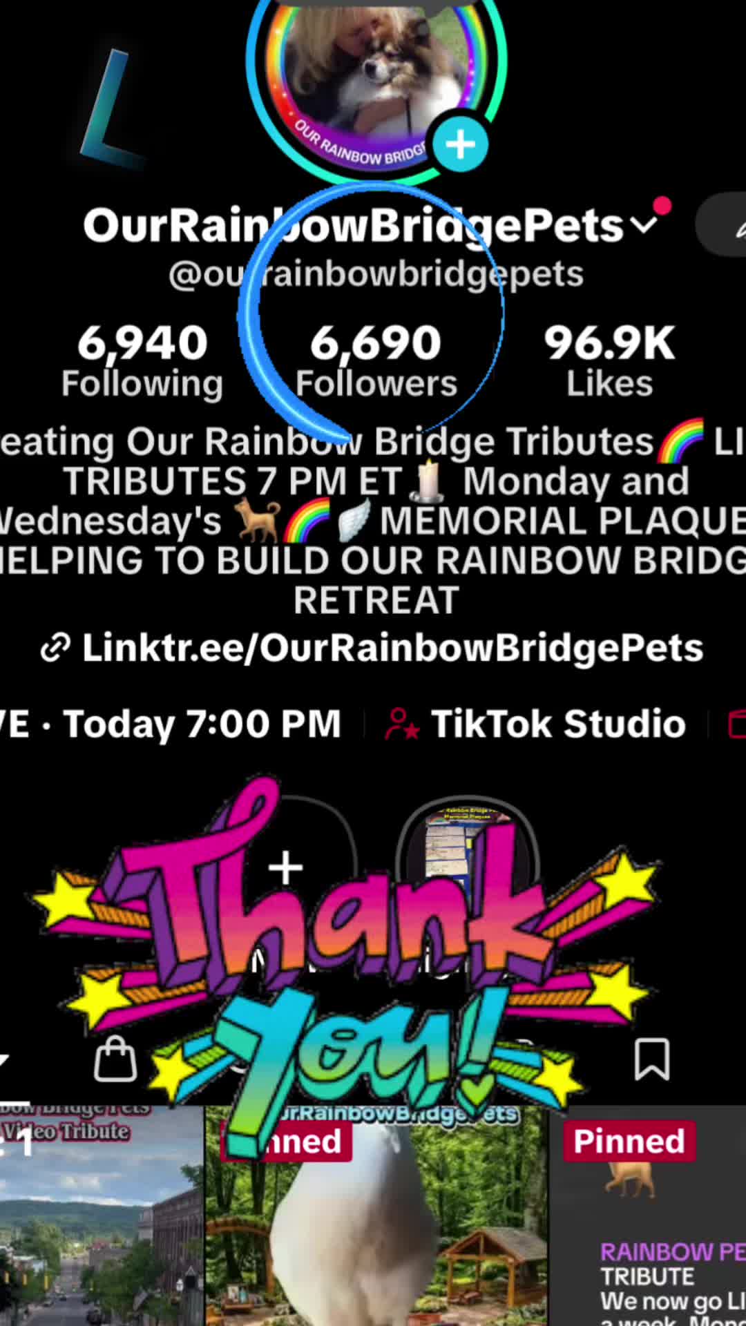 @OurRainbowBridgePets